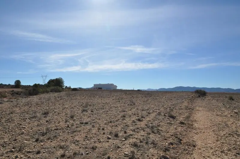 Terreno en Venta Monóvar 12542m2