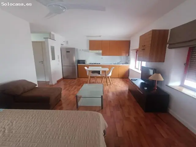 Estudio Reformado Centro Alcoy