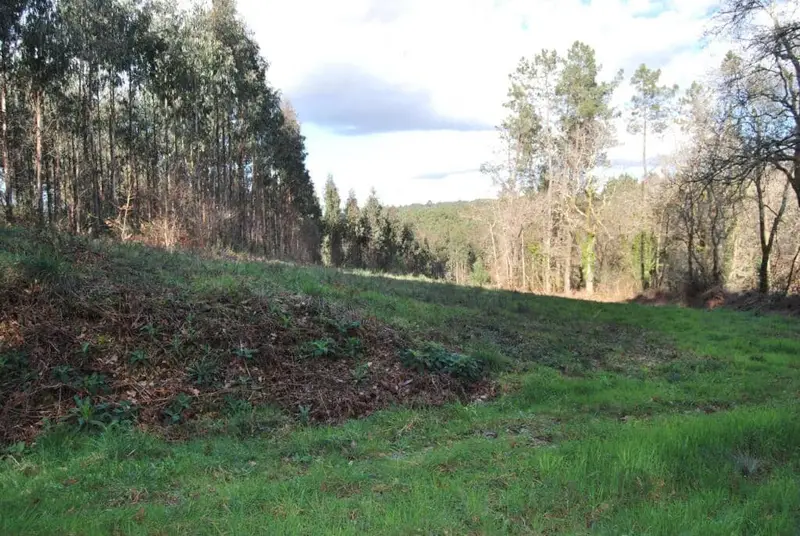 Terreno Rustico en Venta A Estrada Pontevedra