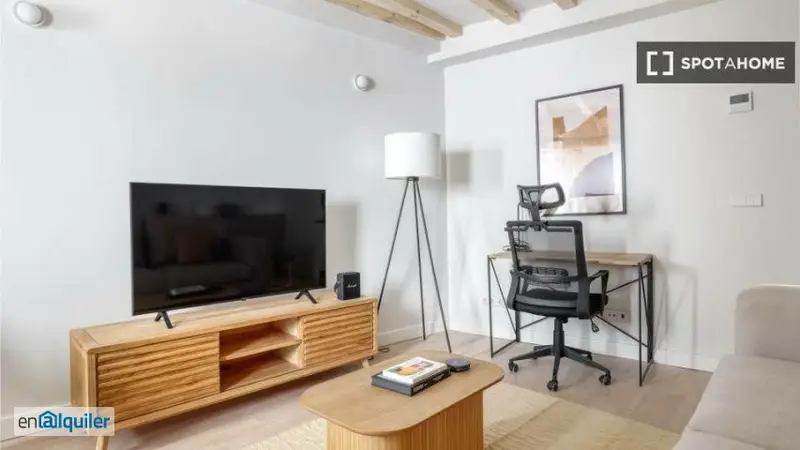 Apartamento 1 Dormitorio Malasaña Amueblado