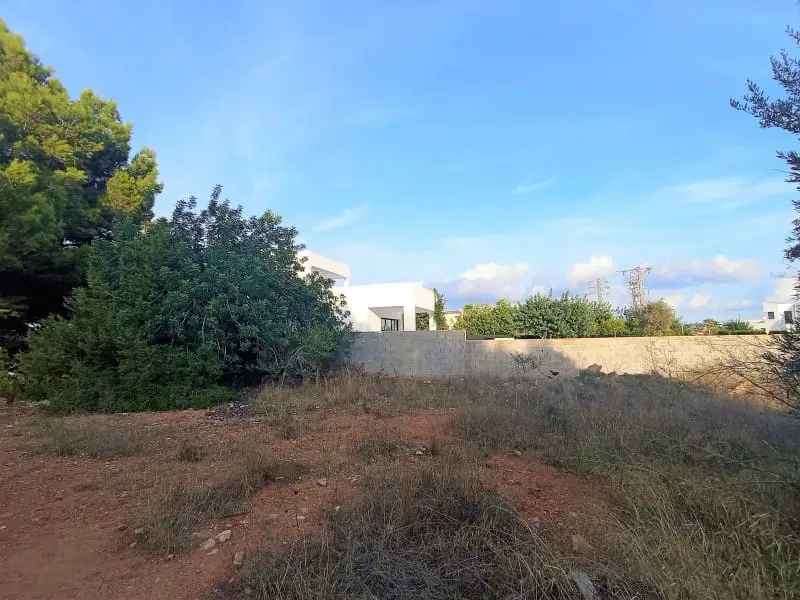 Terreno Rustico en Venta San Jose Ibiza