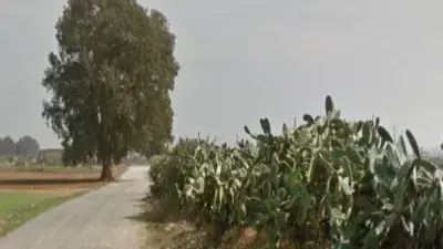 Casa en Venta en Utrera Parcela 5567m2 396m2 construidos