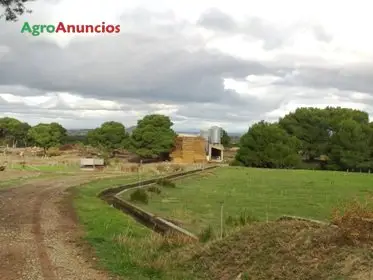 Alquiler  de Finca ganadera en Navarra