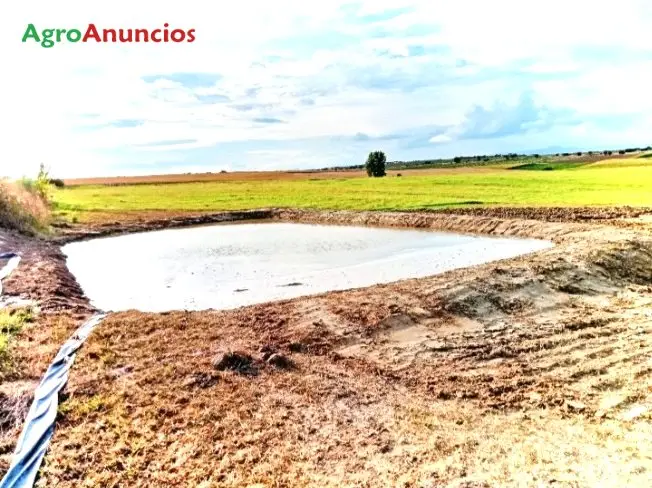 Venta  de Terreno de regadío en Cáceres