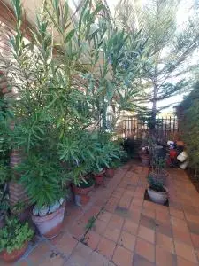 Chalet en Venta Zafra 4 Dormitorios 2 Baños Terraza