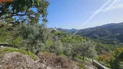 Casa Rural con Piscina y Apartamento cerca de Canillas de Albaida