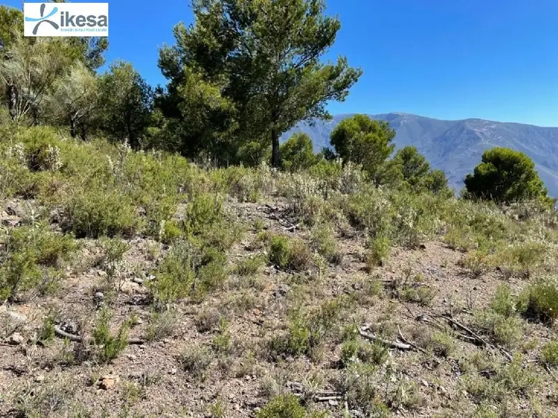 Venta Terreno Orgiva 55m2 Alpujarras Granadinas