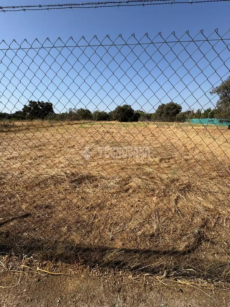 Terrenos en venta en Sanlúcar La Mayor
