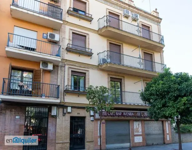Alquiler Piso Amueblado Triana Estudiantes Terraza