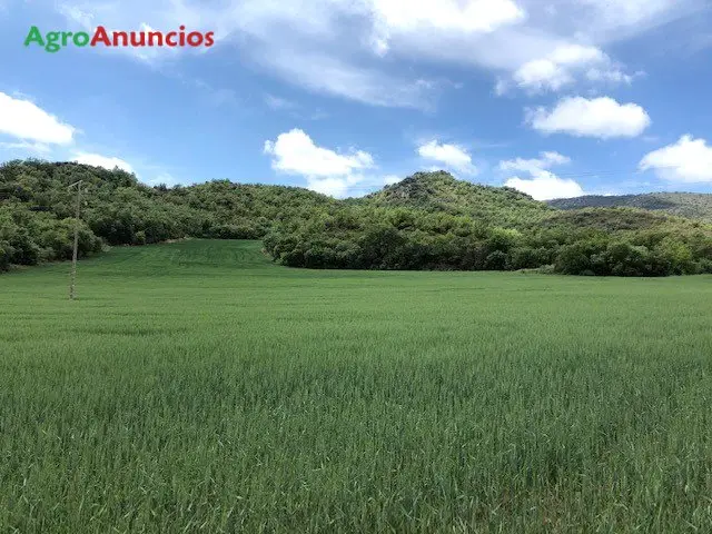 Venta  de Finca rústica en Lleida