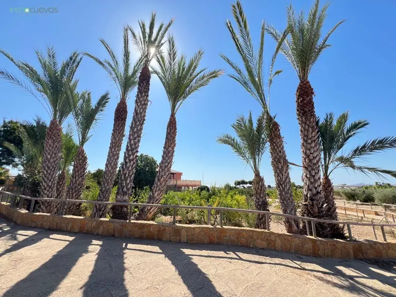 Finca Rural en Vera Almeria con 50 Olivos y Vistas al Mar