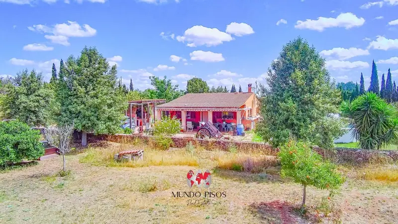 Finca Rustica en Venta Sencelles Mallorca