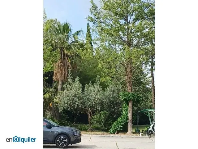 Alquiler Piso 135m2 3 Dormitorios 2 Baños Pinares San Anton Malaga