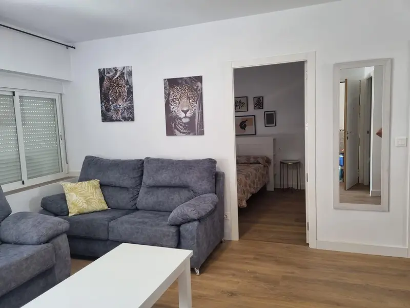 Venta Piso 3 Habitaciones Almadén Alta Rentabilidad