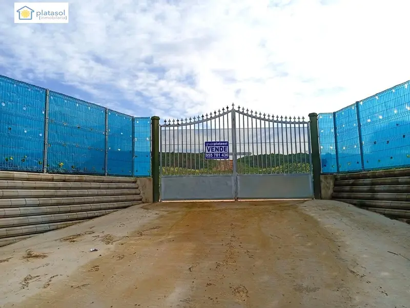 Venta Finca Rustica Andalucia Sanlúcar la Mayor