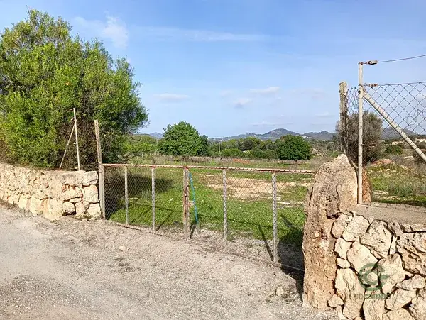 Solar con Licencia en Manacor 14206m2 - Casa 208m2 con Piscina