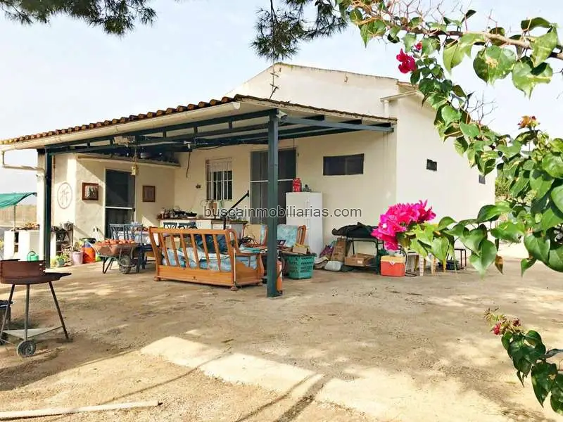 Finca Rustica en Venta Elche La Hoya 10000m2