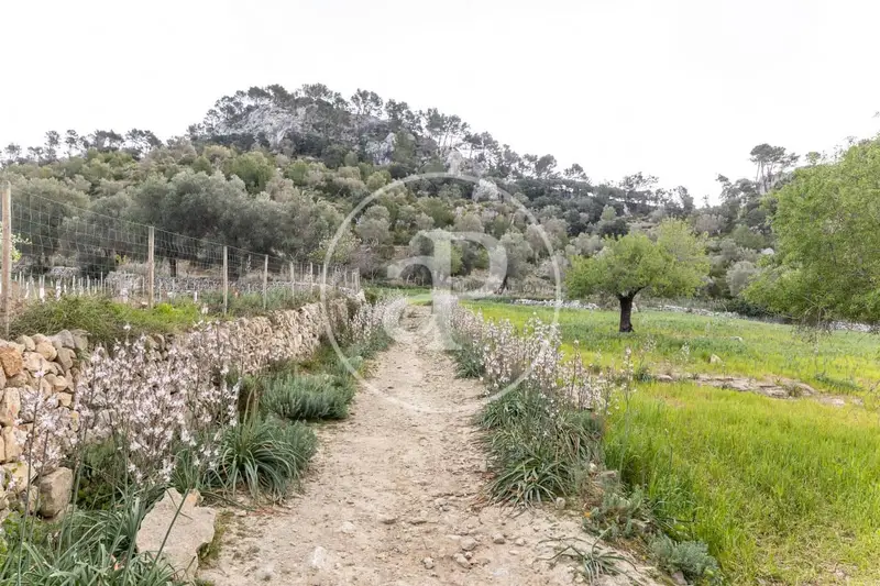 Finca Rustica siglo XVIII Mallorca 10 hectareas