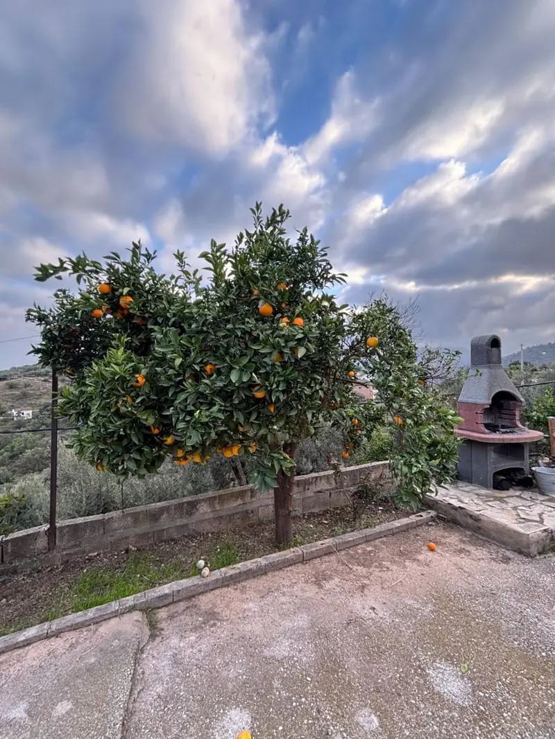 Finca/Casa Rural en venta en Cútar, Málaga