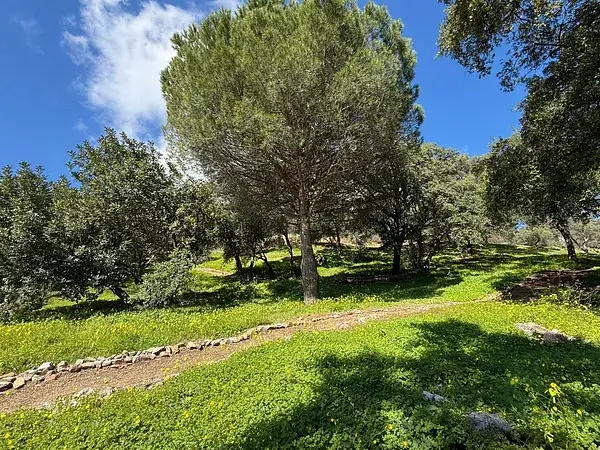 Finca Rústica en Casares Málaga 27250m2