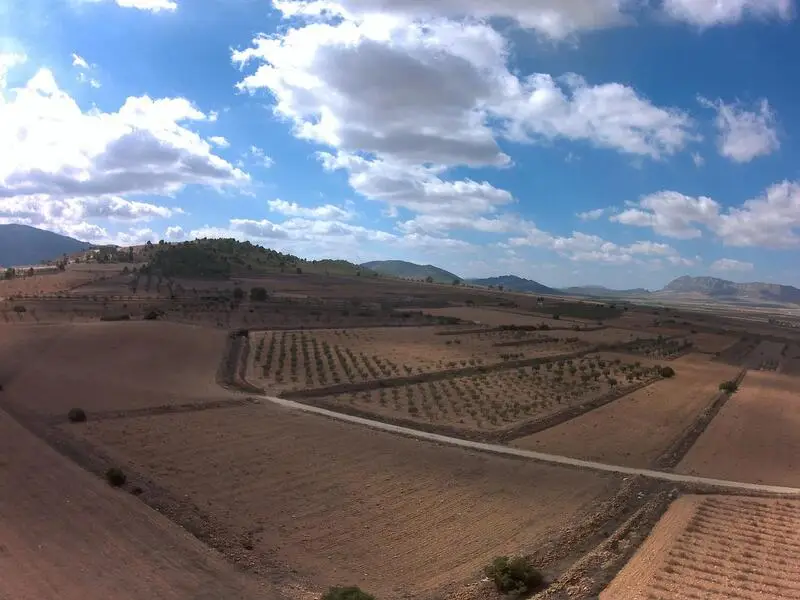 Terrenos en venta
Yecla, Murcia