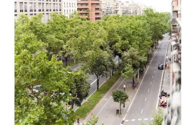 Alquiler Habitaciones Barcelona Av Diagonal 7 Dormitorios Balcon