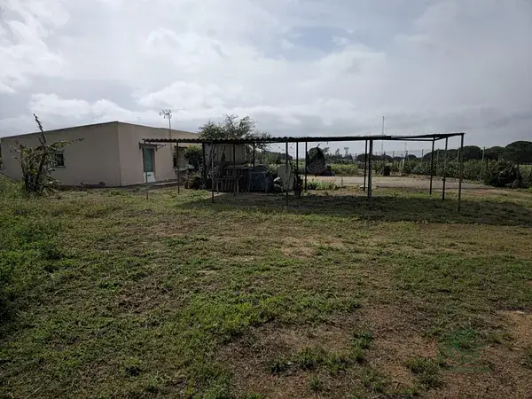 Finca Rustica 35 Hectareas Cadiz Ideal Familias Agricultura Ganaderia