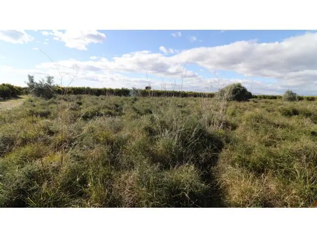 Terreno Rustico Regadio Vinaros 274 Jornales