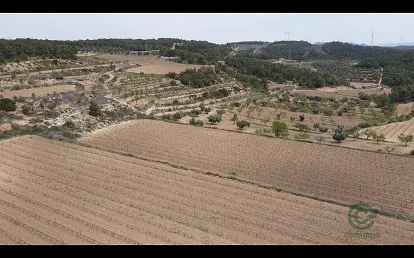 Finca Rústica con Masía en Caseres 39999m2