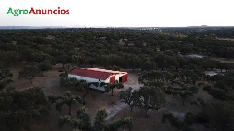 Venta  de Finca rústica ganadera en Salamanca