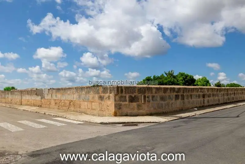 Parcelas Rusticas en Venta Ses Salines