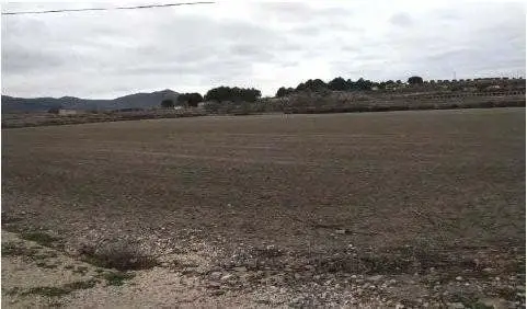 Venta Terreno Rustico Las Virtudes Villena 15178m2