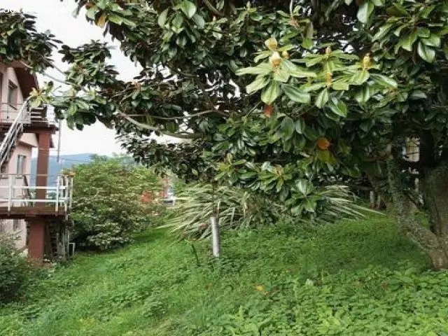 Casa en Venta Vigo Teis 600m2 1600m2 terreno Vistas al Mar Ideal Inversores