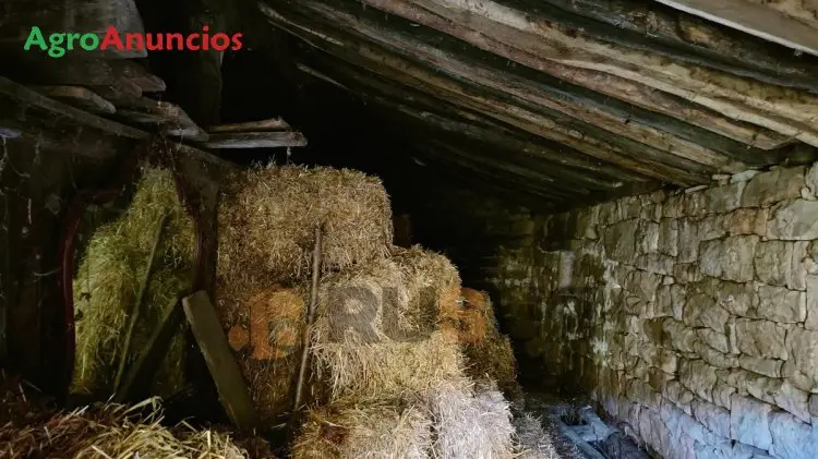 Venta  de Finca con cabaña  de piedra independiente en Cantabria