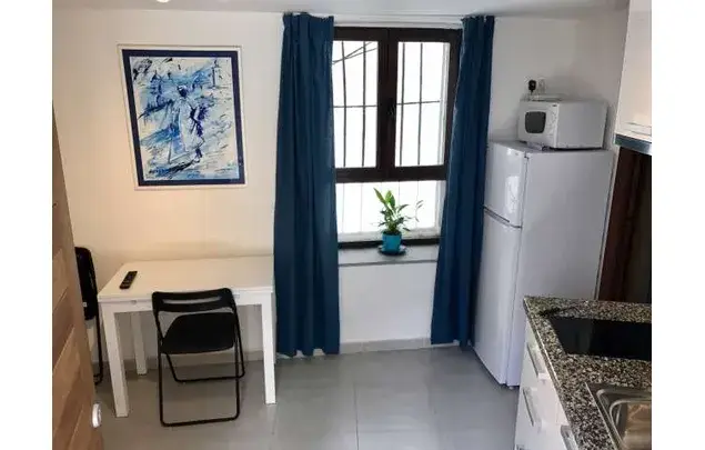 Apartamento Amueblado 1 Dormitorio Granada
