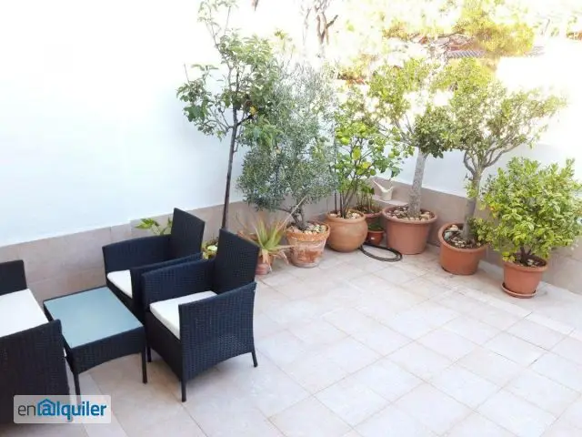 Alquiler casa terraza Sancti petri - la barrosa