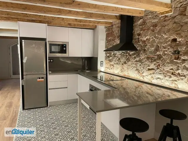 Alquiler Piso 1 Dormitorio Barcelona Sant Antoni