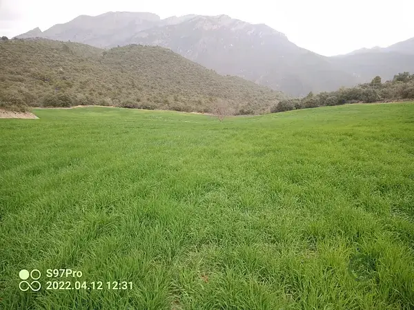 Finca Rustica con Ruina 11ha Ager Lleida