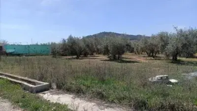 Finca Rustica en Venta cerca de Albolote