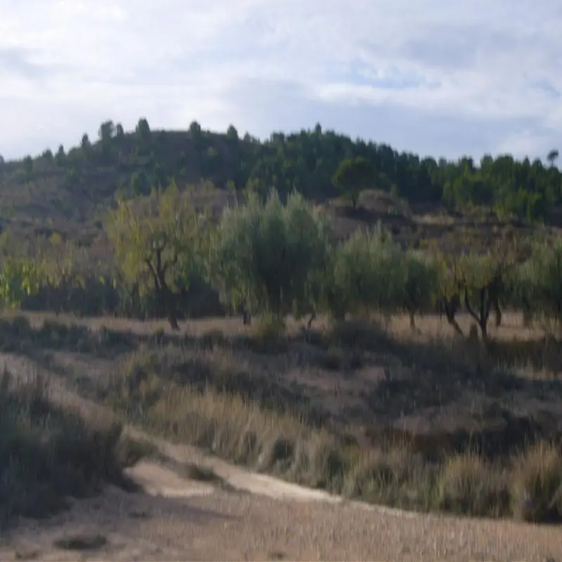 Reforma Casa Cueva y Casa en Murcia 160m2