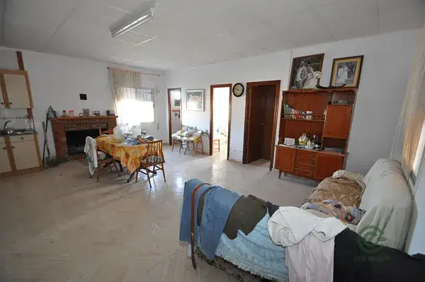 Casa Rural con Almendros y Viñedos 5ha