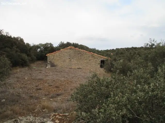 Finca Rustica en Venta en El Toro Castellon