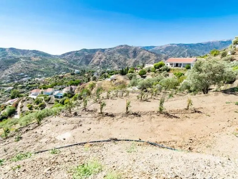 Parcela Rustica con Vistas al Mar en Torrox
