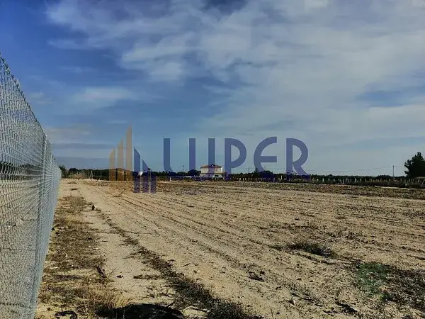 Terreno Rustico en Agost 3200m2