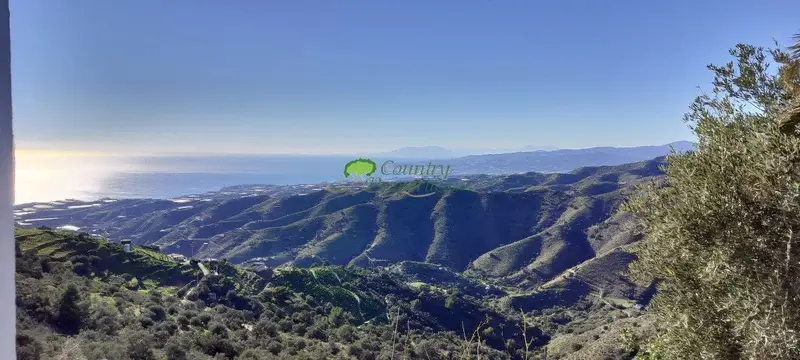 Finca/Casa Rural en alquiler en Torrox, Málaga