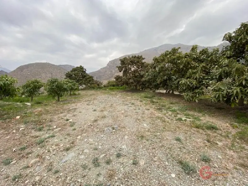 Venta Finca de 2 habitaciones en Puerto de Motril, Motril - Ref: 3101-J537