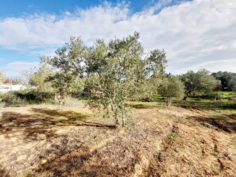 Venta Terreno en Pedanias, Jerez de la Frontera - Ref: FS5.162N