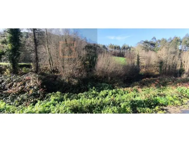 Monte 81 Ferrados Laracha Finca en Venta