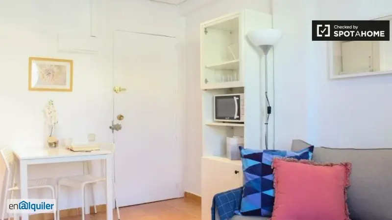Apartamento 1 Dormitorio Salamanca Terraza