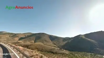 Venta  de Finca con cortijo para recreo, caza, apicultura en Almería